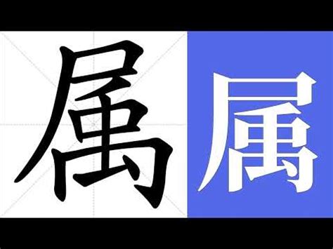 屬名 意思